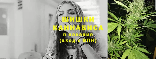 дживик Вязьма