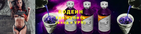 дурь Вяземский