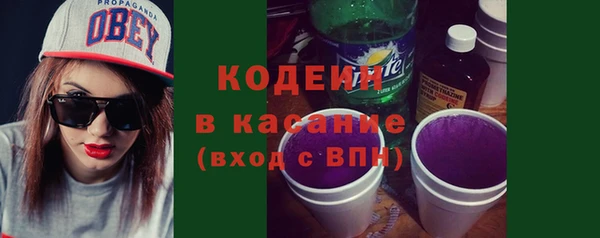 дурь Вяземский