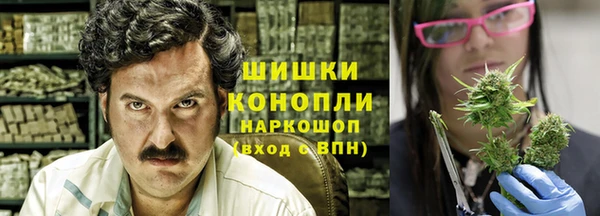 дживик Вязьма