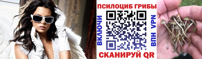 Галлюциногенные грибы MAGIC MUSHROOMS  продажа наркотиков  omg зеркало  Пыть-Ях 