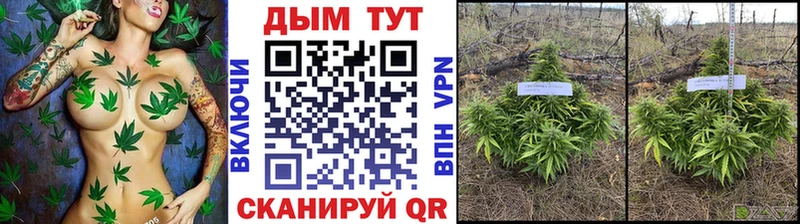Шишки марихуана конопля Пыть-Ях